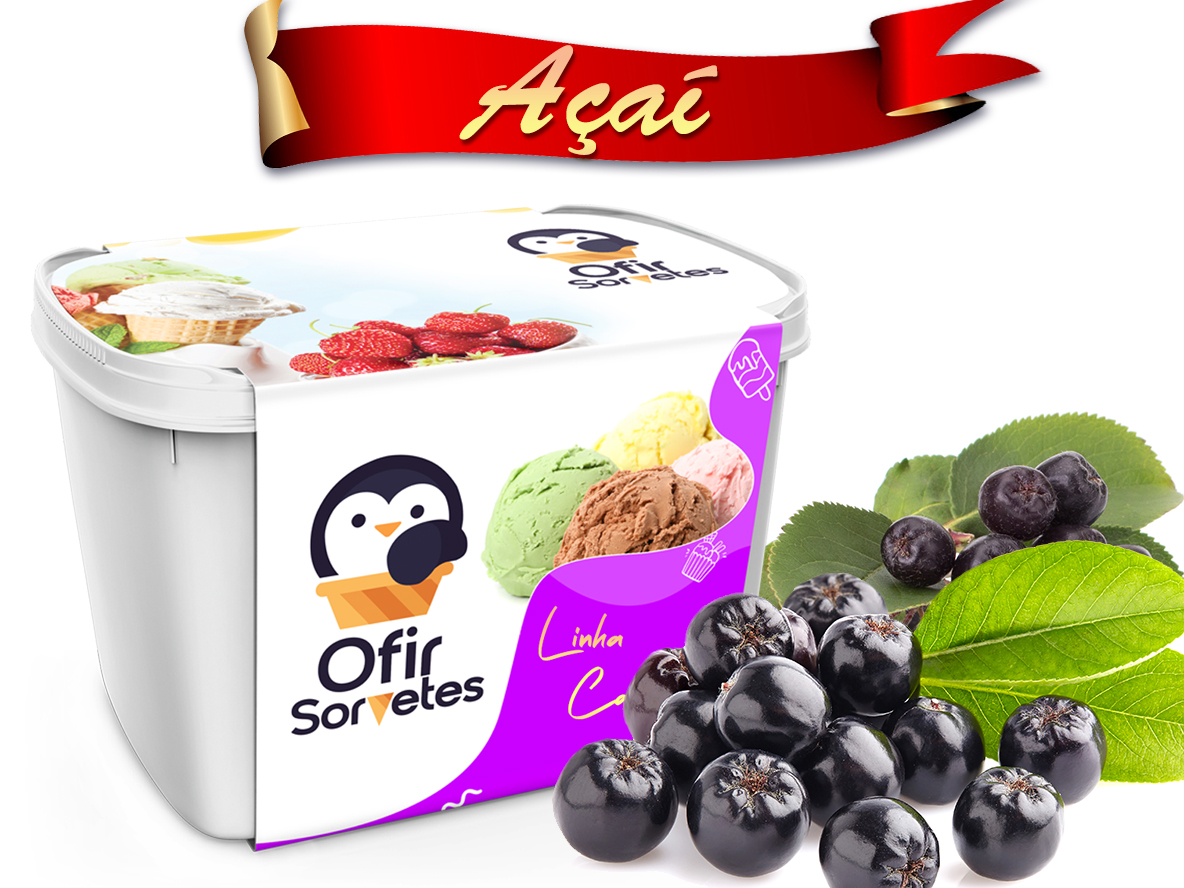 Sorvete Açaí Linha Caseiros Pote 2L.